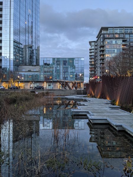 a photo of a pond reflecting the surrounding buildings